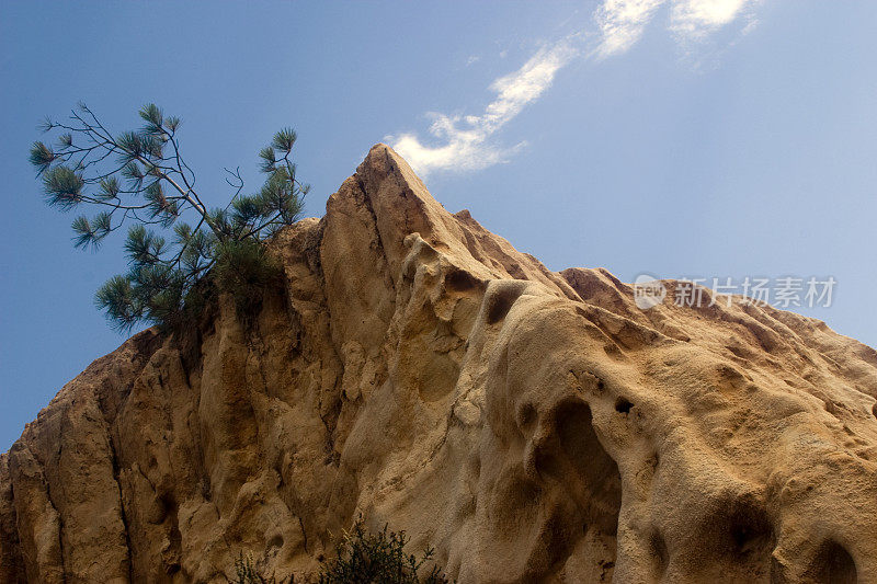 加州圣地亚哥景观Torrey Pines州立公园岩石形成